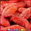 Lycium barbarum Fruchtextrakt goji superfood bestellen goji Beeren